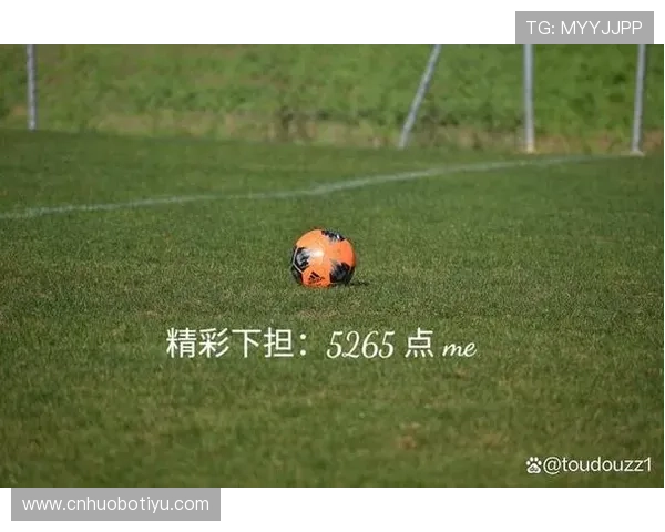 开云体育体育：专业团队打造优质体育赛事直播与互动平台