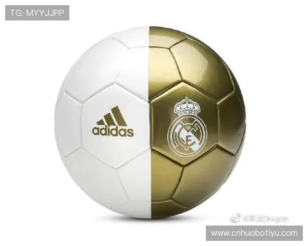 尊龙体育下载官网官方平台，快速下载安装指南与最新版本更新介绍